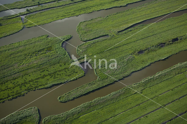 Polder Wormer