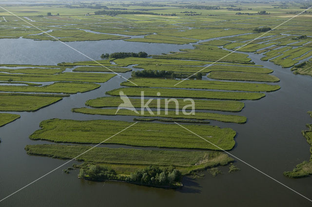 Polder Wormer