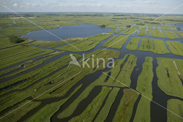 Polder Wormer