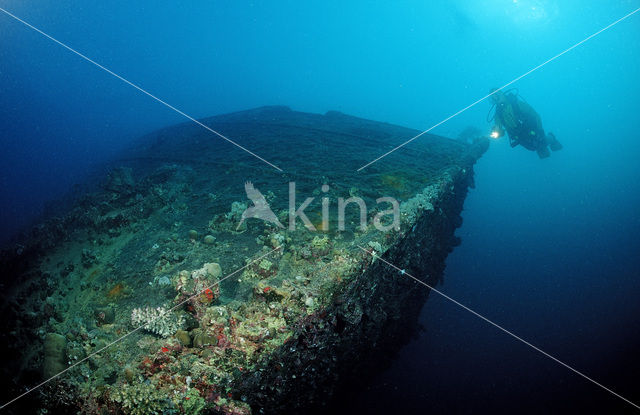 Red sea