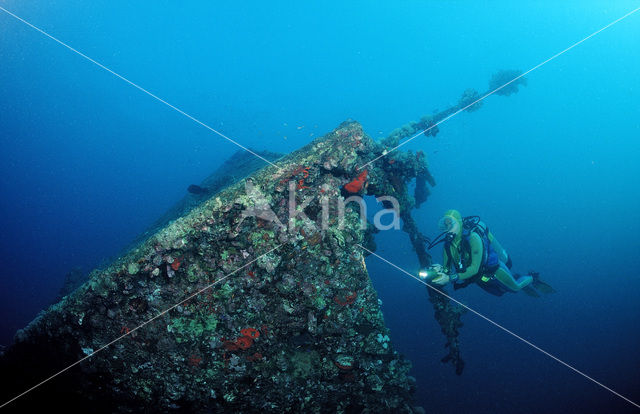 Red sea
