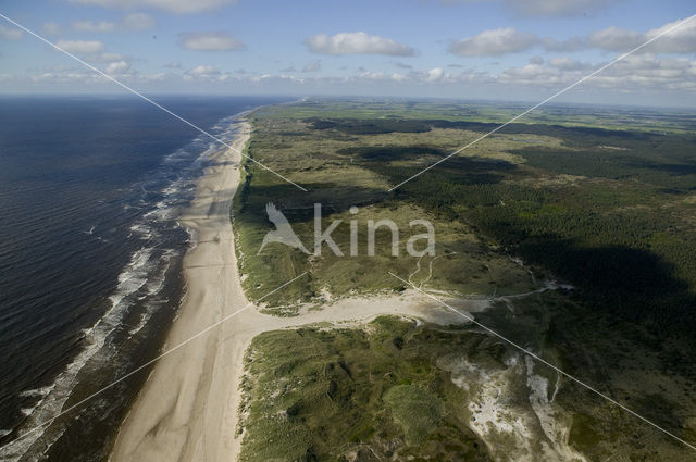 Schoorlse Duinen