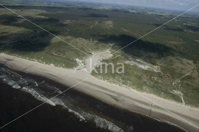 Schoorlse Duinen