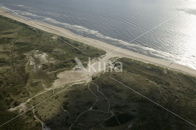 Schoorlse Duinen