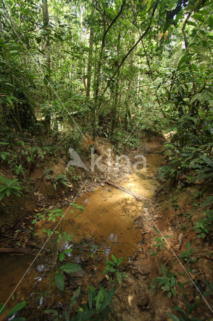 Tambopata National Park