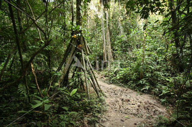 Tambopata National Park