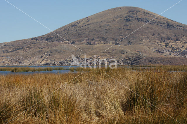 Titicaca meer