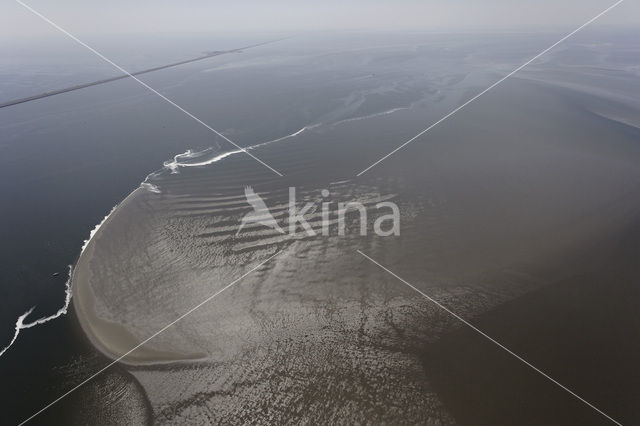 Waddensea