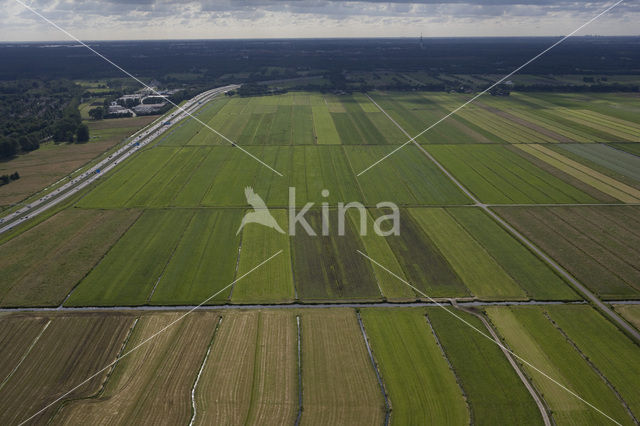 Zuidpolder