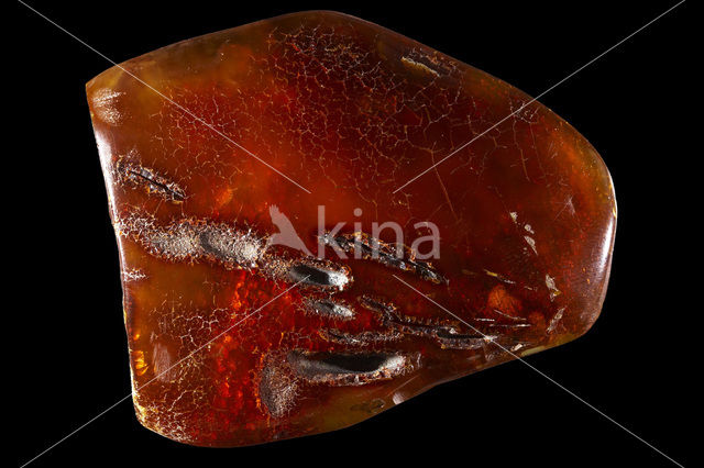 Amber