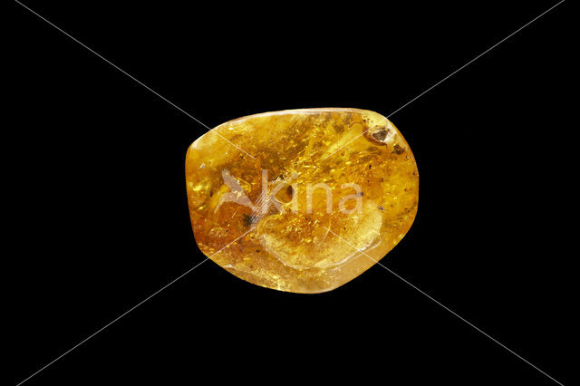 Amber