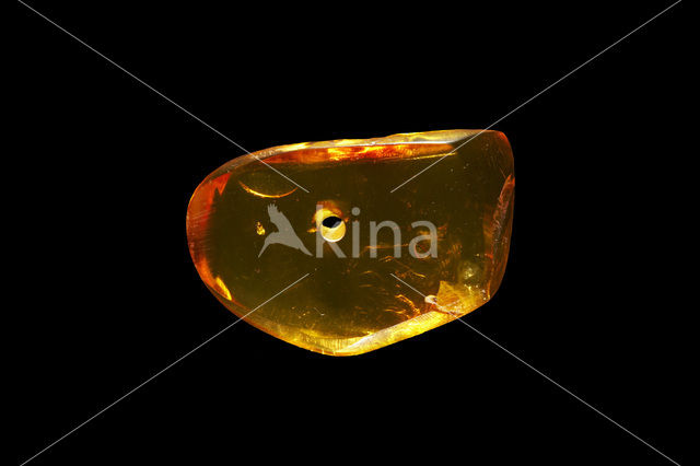 Amber
