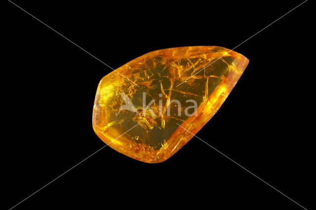 Amber