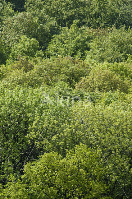 biosfeer reservaat Karstlandschaft Südharz