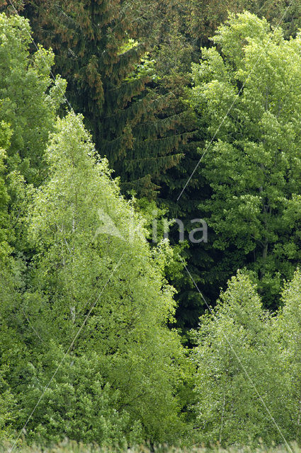 biosphere reserve Karstlandschaft Südharz