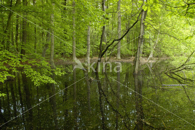 biosfeer reservaat Karstlandschaft Südharz