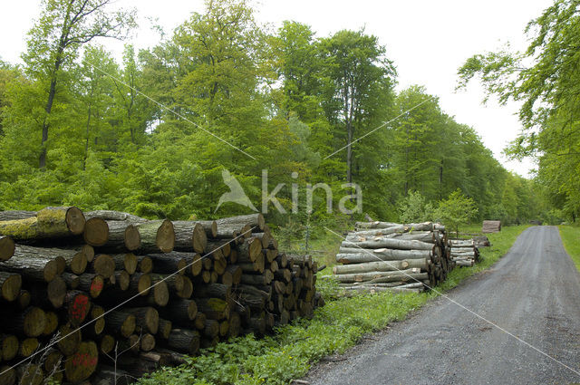 biosfeer reservaat Karstlandschaft Südharz