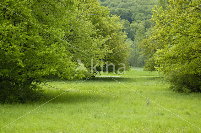 biosphere reserve Karstlandschaft Südharz