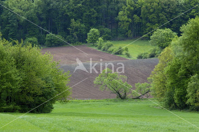 biosfeer reservaat Karstlandschaft Südharz