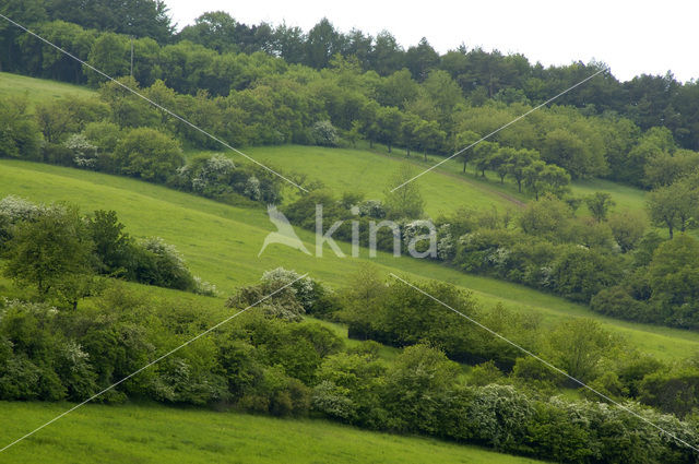 biosfeer reservaat Karstlandschaft Südharz