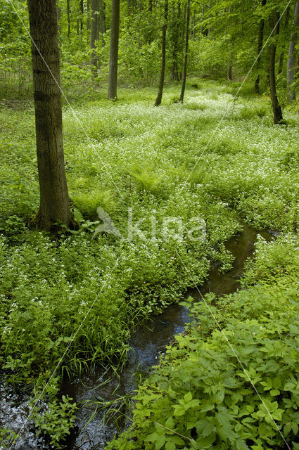 biosphere reserve Karstlandschaft Südharz