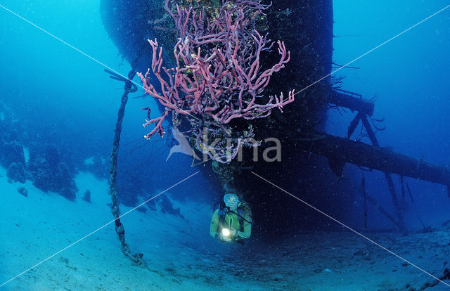 Bonaire National Marine Park