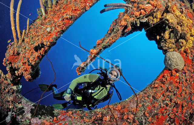 Bonaire National Marine Park