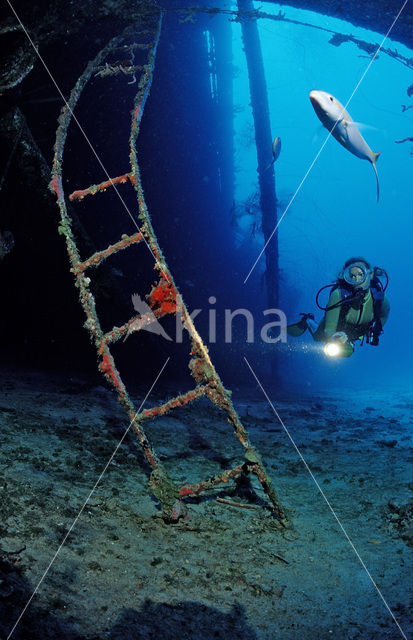 Bonaire National Marine Park