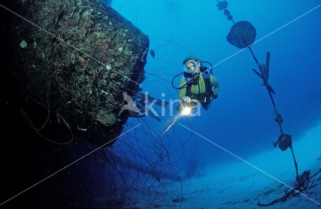 Bonaire National Marine Park