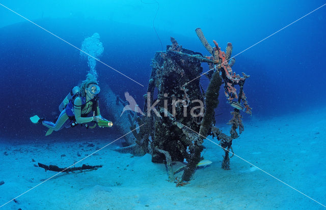 Bonaire National Marine Park