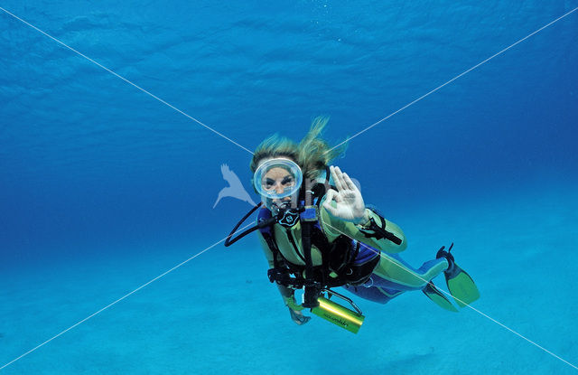 Bonaire National Marine Park