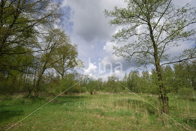 Dommelvalley