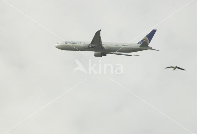 Schiphol airport