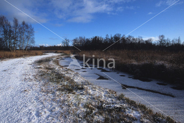 Nationaal Park De Alde Feanen