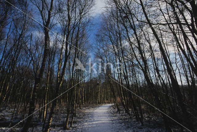 National Park De Alde Feanen