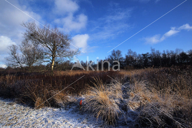 Nationaal Park De Alde Feanen