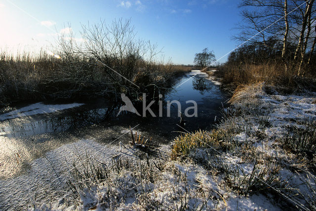 Nationaal Park De Alde Feanen