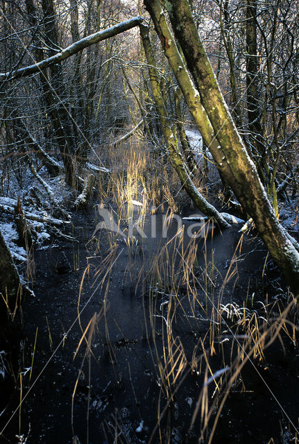 National Park De Alde Feanen