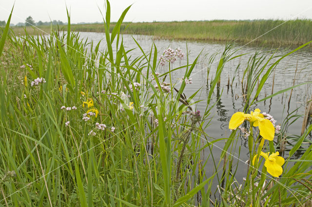 Nationaal Park Weerribben-Wieden