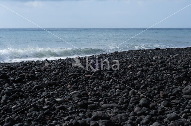 Stromboli