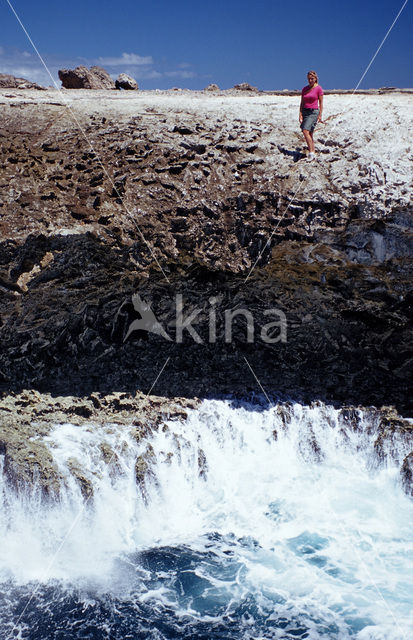 Washington Slagbaai National park