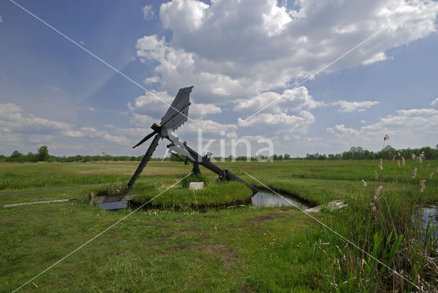 National Park Weerribben-Wieden