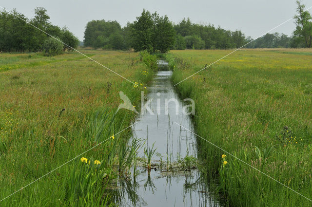 National Park Weerribben-Wieden