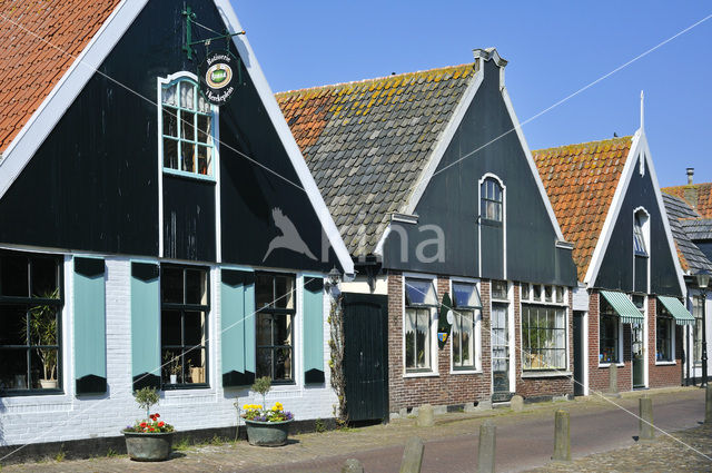 Texel