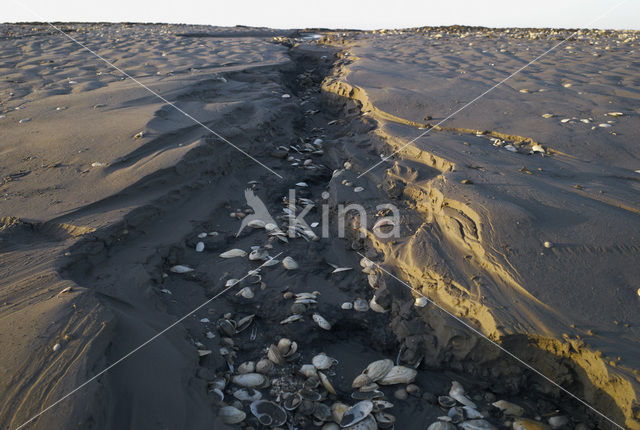 Waddenzee