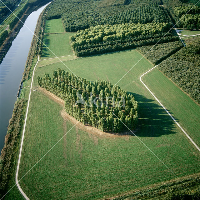 Almeerderhout