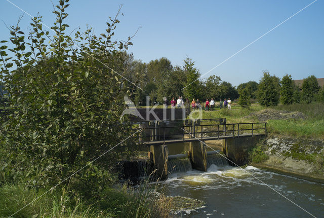 Dal van de Tungelroyse beek