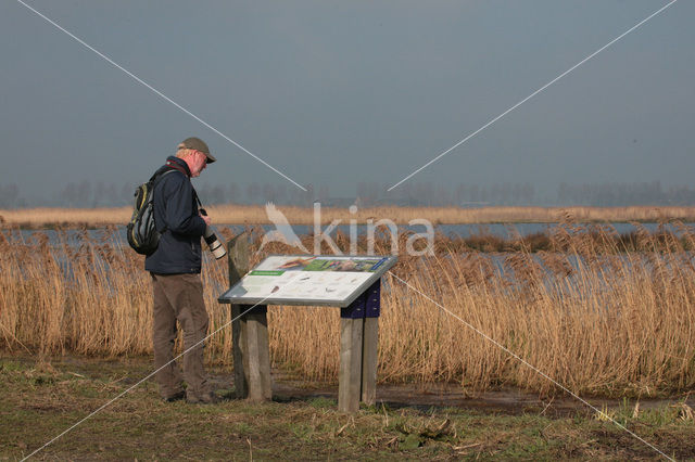 De Groene Jonker