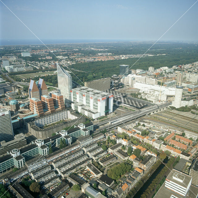 The Hague