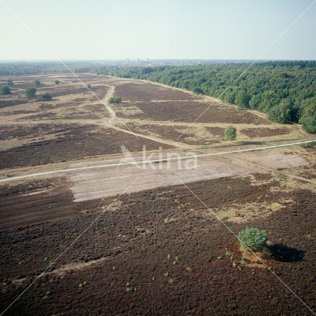 Hoorneboegse Heide